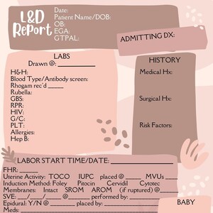 Op de afbeelding: Een roze en bruine L&D-rapportsjabloon met tekstvelden voor medische informatie. Het rapport bevat secties voor laboratoria, geschiedenis, aanvangstijd van de bevalling, bevallingsdatum en babydetails. De tekst "L&D Report" staat bovenaan.