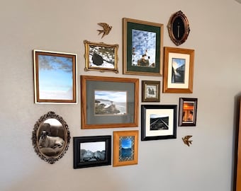 Assorted Frame Bundle | Mix and Match Picture Frames | Gold Frames | Wood Frames | Thrifted Frames | Second Hand frames | Real Frames