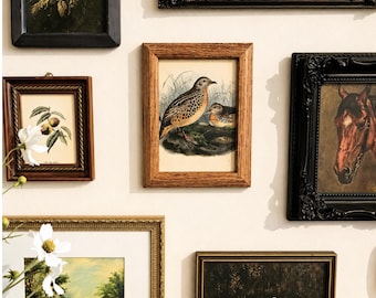 Vintage Gallery Wall Set with Frames, Curated Art Collection, Ready to Hang, Real Picture Frames, Frames + Art