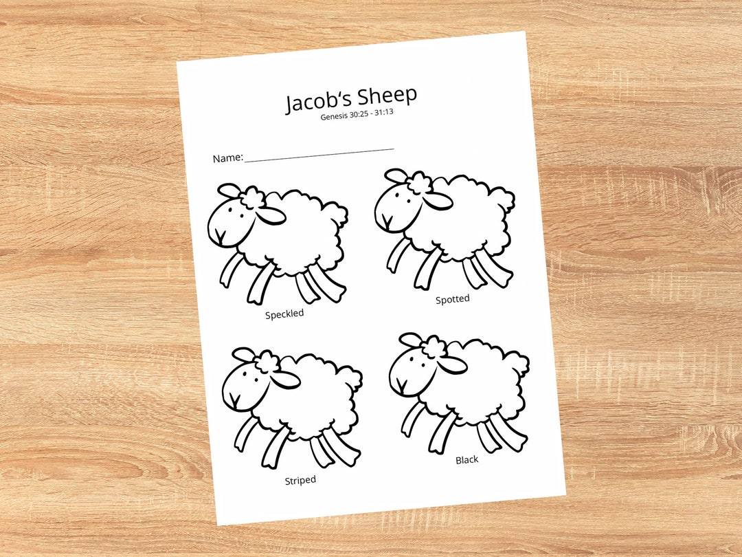 Jacob's Sheep Sunday School Craft Activity for Toddlers and Preschoolers. Instant Download PDF ...