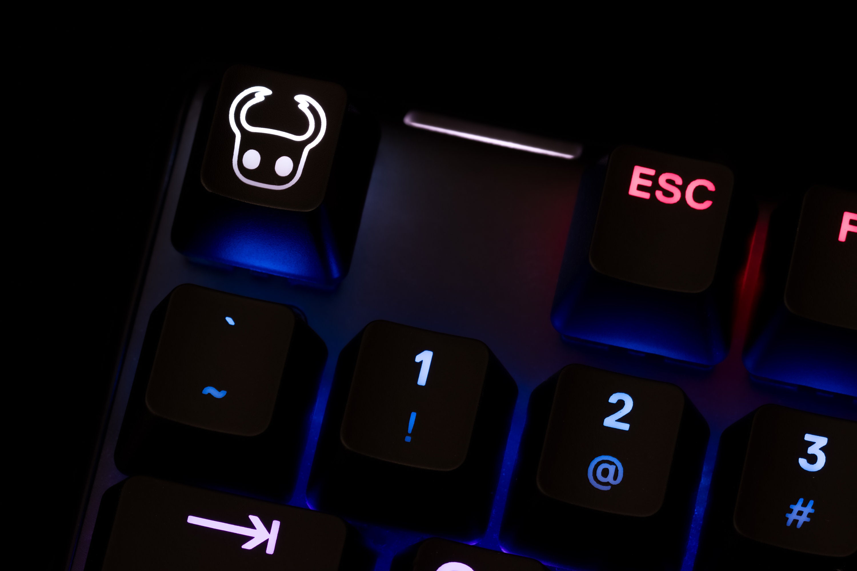 Hollow Knight Keycap, Artisan Keycaps, Custom Keys for Cherry MX Keyboard, Gamer Gifts
