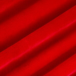 Scarlet Extra Wide Cuddle 3 Minky by Shannon Fabrics, 90" Wide