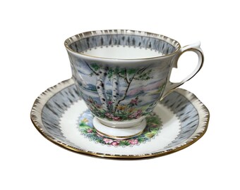 Royal Albert Silver Birch Teacup and Saucer Set / Royal Teacup and Saucer / Made in England