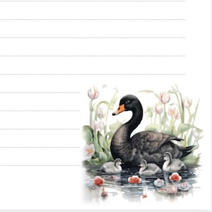 Modelli di lettere digitali JW Black Swan - A righe e senza righe con e senza codice QR incluso Carta intestata stampabile dei Testimoni di Geova