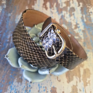 May include: A brown and black snakeskin belt with a gold-coloured buckle. The belt is coiled and rests on a light green succulent plant. The buckle has a silver-coloured centre.