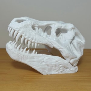 T-Rex Skull 3D Printed