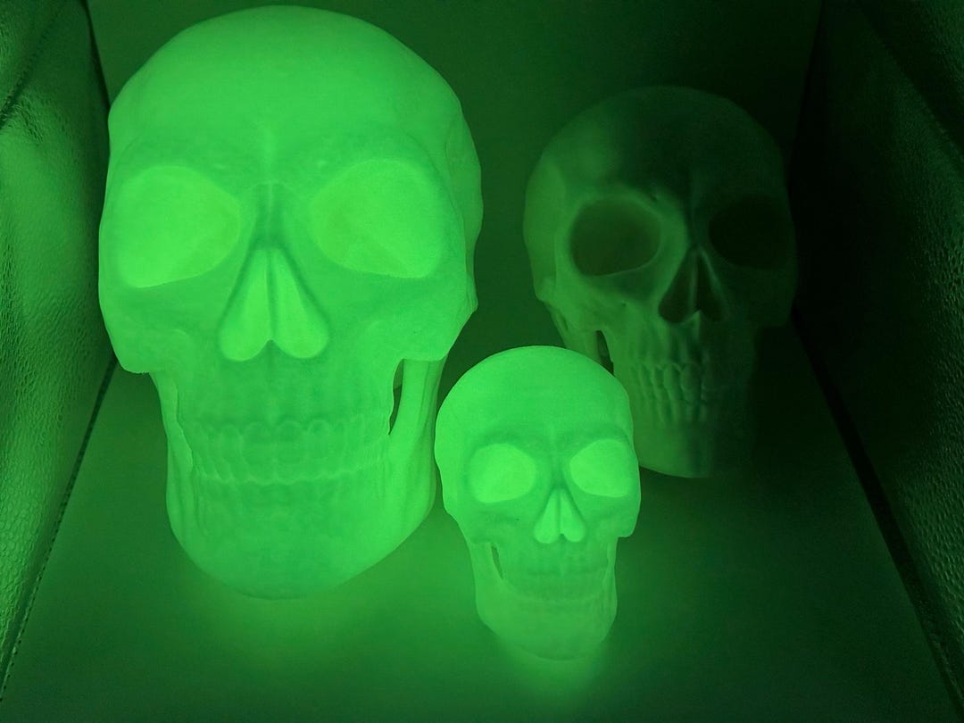3D Printed Human Skull - Etsy