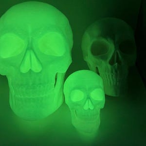 3D Printed Human Skull