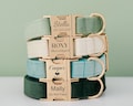 Multiple Colour Velvet Personalise Dog Collar Leash Set with Bow,Green+White+Blue,Engraved Pet Name Plate Metal Buckle,Wedding Puppy Gift product logo