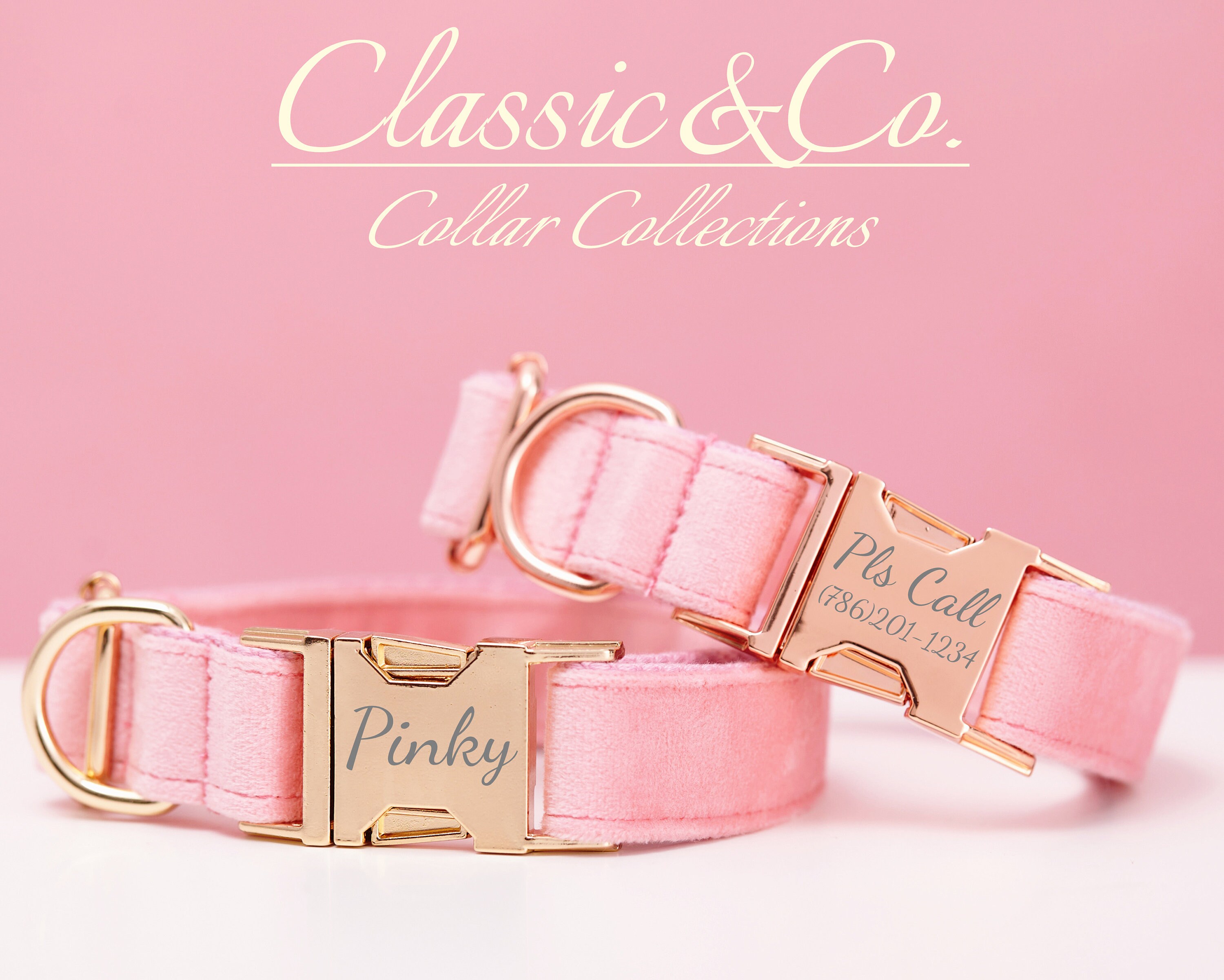 Female Dog Collar - Etsy