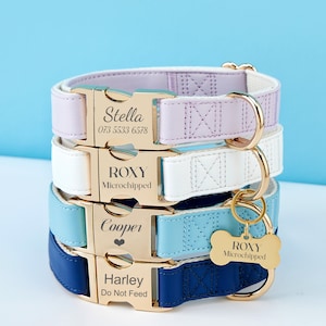 May include: Four personalised dog collars in different colours, stacked on top of each other. The collars are made of leather and have gold-tone hardware. The top collar is lavender, the second is white, the third is light blue, and the bottom is navy blue. Each collar has a different name engraved on the buckle, including Stella, Roxy, Cooper, and Harley. The collars also have the words "Microchipped" and "Do Not Feed" engraved on them.