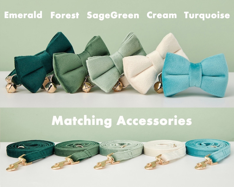 K&ouml;nnte beinhalten: F&uuml;nf Samt-Fliegen in verschiedenen Farben: Smaragdgr&uuml;n, Waldgr&uuml;n, Salbeigr&uuml;n, Creme und T&uuml;rkis. Passende Leinen in den gleichen Farben sind unter den Fliegen dargestellt. Der Text "Matching Accessories" ist in wei&szlig;en Buchstaben auf gr&uuml;nem Hintergrund geschrieben.