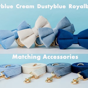 Multiple Colour Velvet Personalise Dog Collar Leash Set with Bow,BlueNavyWhite,Engraved Pet Name Plate Metal Buckle,Wedding Puppy Gift zdjęcie 4