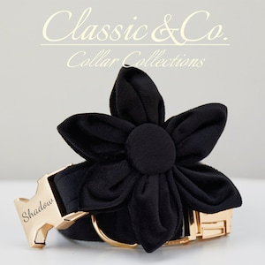 Black Velvet Personalize Dog Collar Leash Set Flower Bow for Small Medium Large Pet,Engraved Silent Name Plate,Wedding Puppy Gift