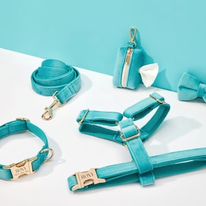 Könnte beinhalten: Ein Set an Hunde-Accessoires aus türkisblauem Samt, bestehend aus Halsband, Leine, Geschirr, Kotbeutelhalter und Fliege. Die Accessoires sind mit goldenen Beschlägen versehen und das Halsband sowie das Geschirr tragen die eingravierte Aufschrift "ROXY".