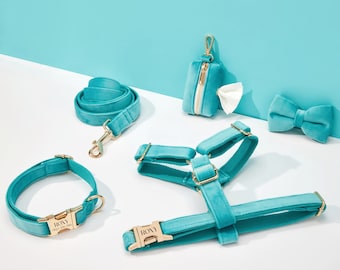 Ensemble harnais et laisse pour chien en velours turquoise, harnais pour chiot personnalisé + collier + nœud papillon + porte-sac caca, faisceau de harnais de mariage sans traction