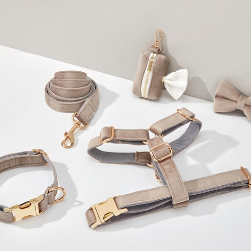 Grey Velvet Dog Harness and Leash Set Personalize Step in Etsy