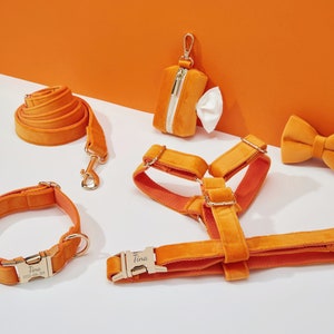 Orange Velvet Dog Harness and Leash Set, Personalize Step In Puppy Harness+Collar+Bowtie+Poo Bag Holder, No Pull Wedding Harness Bundle