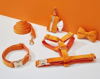 Conjunto de arnés y correa para perros de terciopelo naranja, personalice el arnés para cachorros + collar + pajarita + soporte para bolsa de caca, paquete de arnés de boda sin tirones