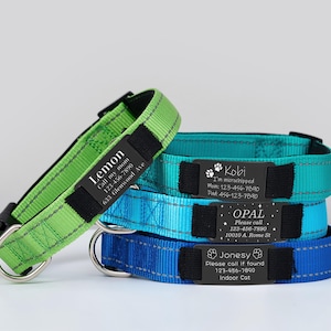Puede incluir: Cuatro collares para perros con etiquetas de metal negro personalizadas. Los collares son verde, azul verdoso, azul y azul real. Las etiquetas tienen el nombre del perro, los n&uacute;meros de tel&eacute;fono y otra informaci&oacute;n.