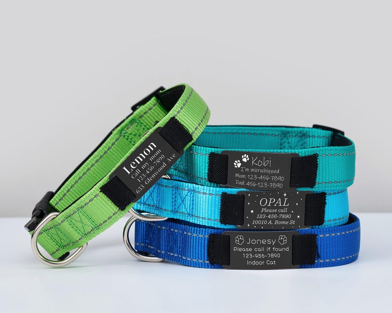 Puede incluir: Cuatro collares para perros con etiquetas de metal negro personalizadas. Los collares son verde, azul verdoso, azul y azul real. Las etiquetas tienen el nombre del perro, los n&uacute;meros de tel&eacute;fono y otra informaci&oacute;n.