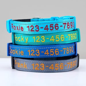 Könnte beinhalten: Ein Stapel von vier personalisierten Hundehalsbändern in verschiedenen Farben: Türkis, Türkisgrün, Blau und Grau. Jedes Halsband zeigt den Namen eines Haustiers und eine Telefonnummer in einer Kontrastfarbe. Die Halsbänder sind aus reflektierendem Material.