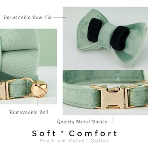 K&ouml;nnte beinhalten: Ein hellgr&uuml;nes Samtkatzenhalsband mit einer goldenen Metallschnalle, einer abnehmbaren Glocke und einer abnehmbaren Schleife. "Soft * Comfort Premium Velvet Collar" steht auf dem Bild.