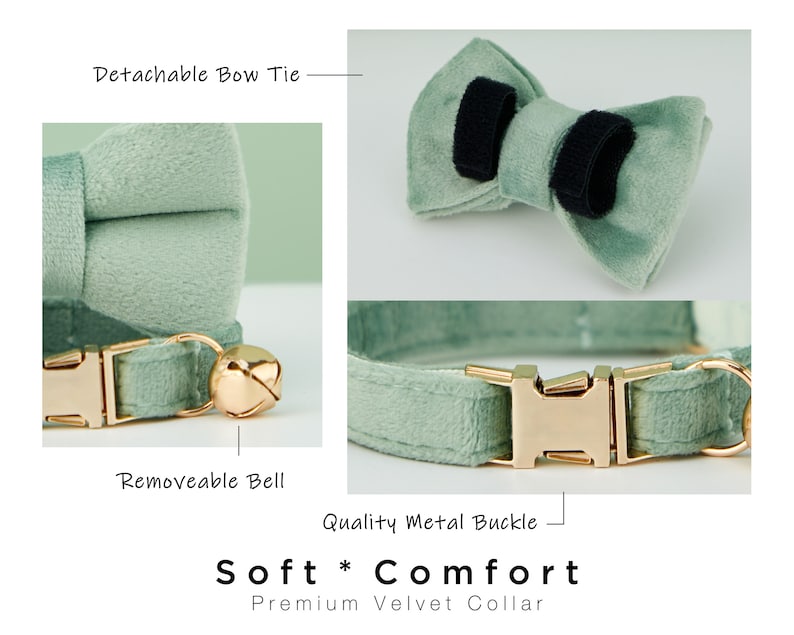 K&ouml;nnte beinhalten: Ein hellgr&uuml;nes Samtkatzenhalsband mit einer goldenen Metallschnalle, einer abnehmbaren Glocke und einer abnehmbaren Schleife. "Soft * Comfort Premium Velvet Collar" steht auf dem Bild.