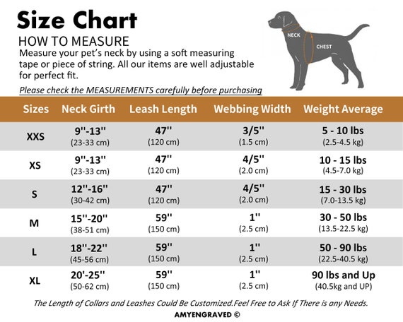 Lucy & Co. 5 Foot Dog Leash - Best Designer Dog Leashes - Leash for Big Dogs, Small Dog Leash, or Medium Dog Leash - Puppy Leash - Dog Accessories 