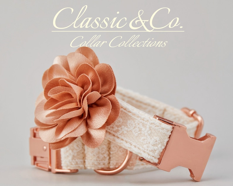 May include: A white dog collar with a rose gold buckle and a large peach-colored fabric flower.