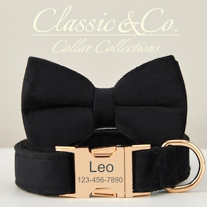 May include: Black velvet dog collar with a gold buckle and a matching black velvet bow tie. The buckle is engraved with the name "Leo" and the phone number "123-456-7890".