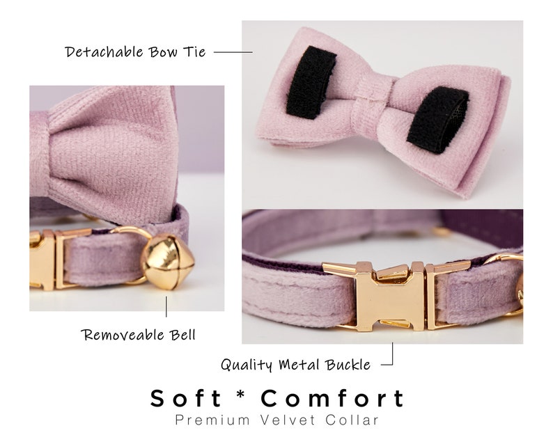 Luxury Velvet Red Purple Pink Personalized Cat Collar Bow Tie Leash Set,Custom Kitten Puppy Name Tag,Gold Bell,Small Dog Engraved Pet Gift image 5