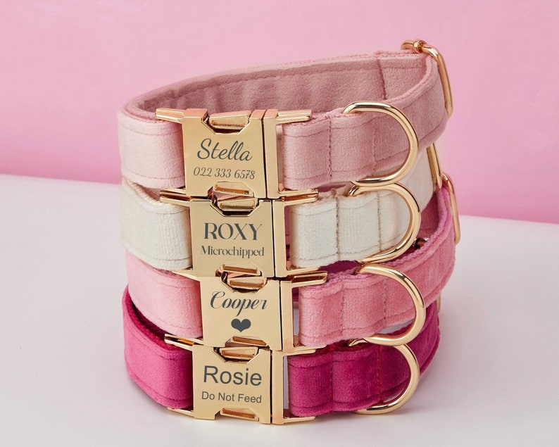 Multiple Colour Velvet Personalise Dog Collar Leash Set with Bow,PinkRoseIvoryPeach,Engraved Pet Name Tag Metal Buckle,Wedding Puppy Gift image 2