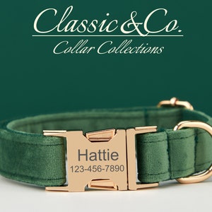 Personalized Dog Collar With Engraved Pet Name Metal Buckle,Forest Velvet Dog Collar and Leash Set with Bell And Bow,FREE Shipping