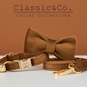 Coffee Velvet Personalized Cat & Small Dog Collar Bow Tie Leash Set,Free Engraved Kitten Puppy Name Tag,Gold Bell,Pet Birthday Gift