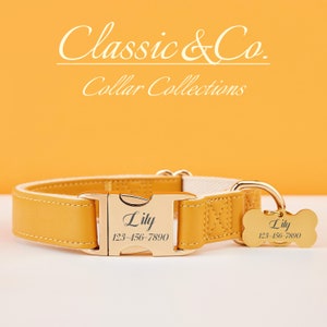 May include: A yellow leather dog collar with a gold buckle and a gold bone-shaped tag. The tag is engraved with the name "Lily" and the phone number "123-456-7890".
