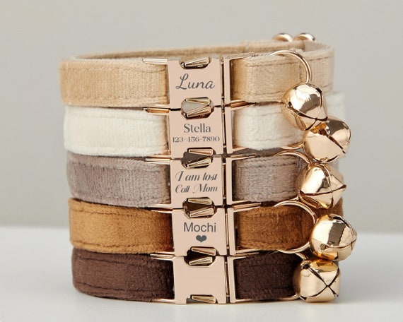 Collar De Perro Con Placa De Identificación Personalizada De Nailon