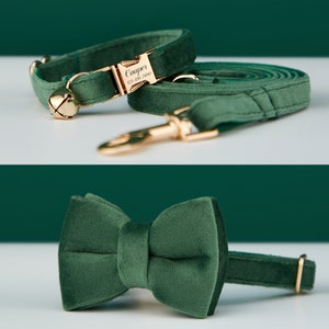 Wald Samt Personalisierte Katze & Kleiner Hundehalsband Bowtie Leine-Set, individuell graviertes Kätzchen-Welpe-Namensschild, kostenlose Goldglocke, männliches weibliches Haustier-Geschenk Bild 3