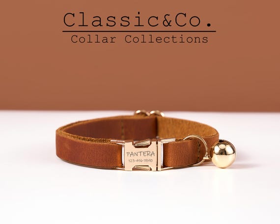 Bevanda Pesce Dire Bugie Porta Per Cani Da Muro Amazon Un Fedele Esattamente Arm