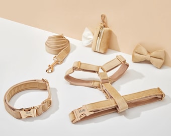 Beige Samt-Hundegeschirr und Leine-Set, personalisieren Sie Schritt-in-Welpen-Geschirr + Halsband + Fliege + Kotbeutel-Halter, kein Ziehen-Hochzeitsgeschirr-Bundle