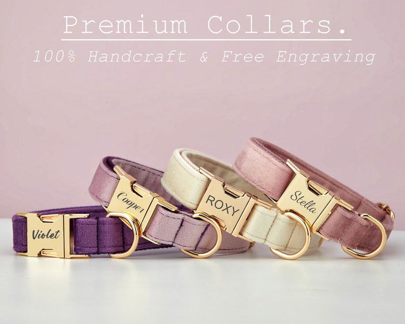 Multiple Colour Velvet Personalise Dog Collar Leash Set with Bow,PurpleVioletLilac,Engraved Pet Name Metal Buckle,Wedding Puppy Gift image 3