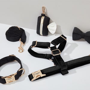 Black Velvet Dog Harness and Leash Set, Personalize Step In Puppy Harness+Collar+Bowtie+Poo Bag Holder, No Pull Wedding Harness Bundle