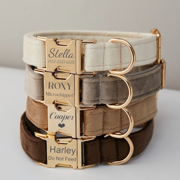 Fluweel meerdere kleuren personaliseren hondenhalsband set met strik, bruin + grijs + wit, gegraveerd huisdier naamplaatje metalen gesp, bruiloft puppycadeau