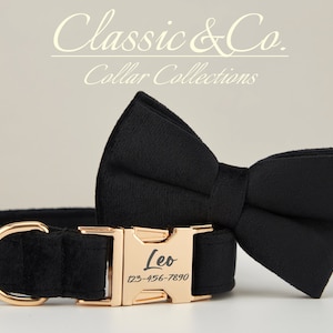 May include: Black velvet dog collar with a gold buckle and a matching black velvet bow tie. The buckle is engraved with the name "Leo" and a phone number.