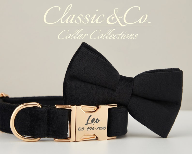 May include: Black velvet dog collar with a gold buckle and a matching black velvet bow tie. The buckle is engraved with the name "Leo" and a phone number.