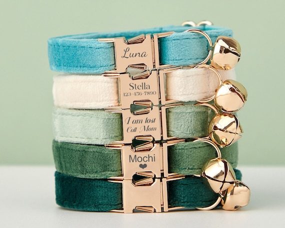 Personalized Velvet Cat Collar Set