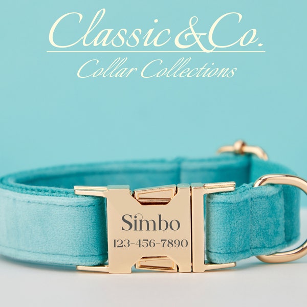 Personalized Dog Collar With Engraved Pet Name Metal Buckle,Turquoise Velvet Dog Collar and Leash Set with Bell And Bow,FREE Shipping