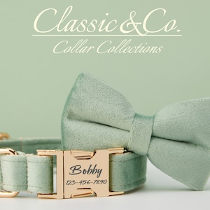 Dog Collar Bow Tie Lead,Handmade Boy Dog Bow Tie Collars,SageGreen Velvet Collar With Engraved Name image 3