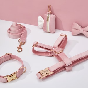 Ensemble harnais et laisse pour chien en velours rose pâle, personnalisation du harnais pour chiots, collier + nœud papillon + support pour sac à caca, harnais de mariage sans traction