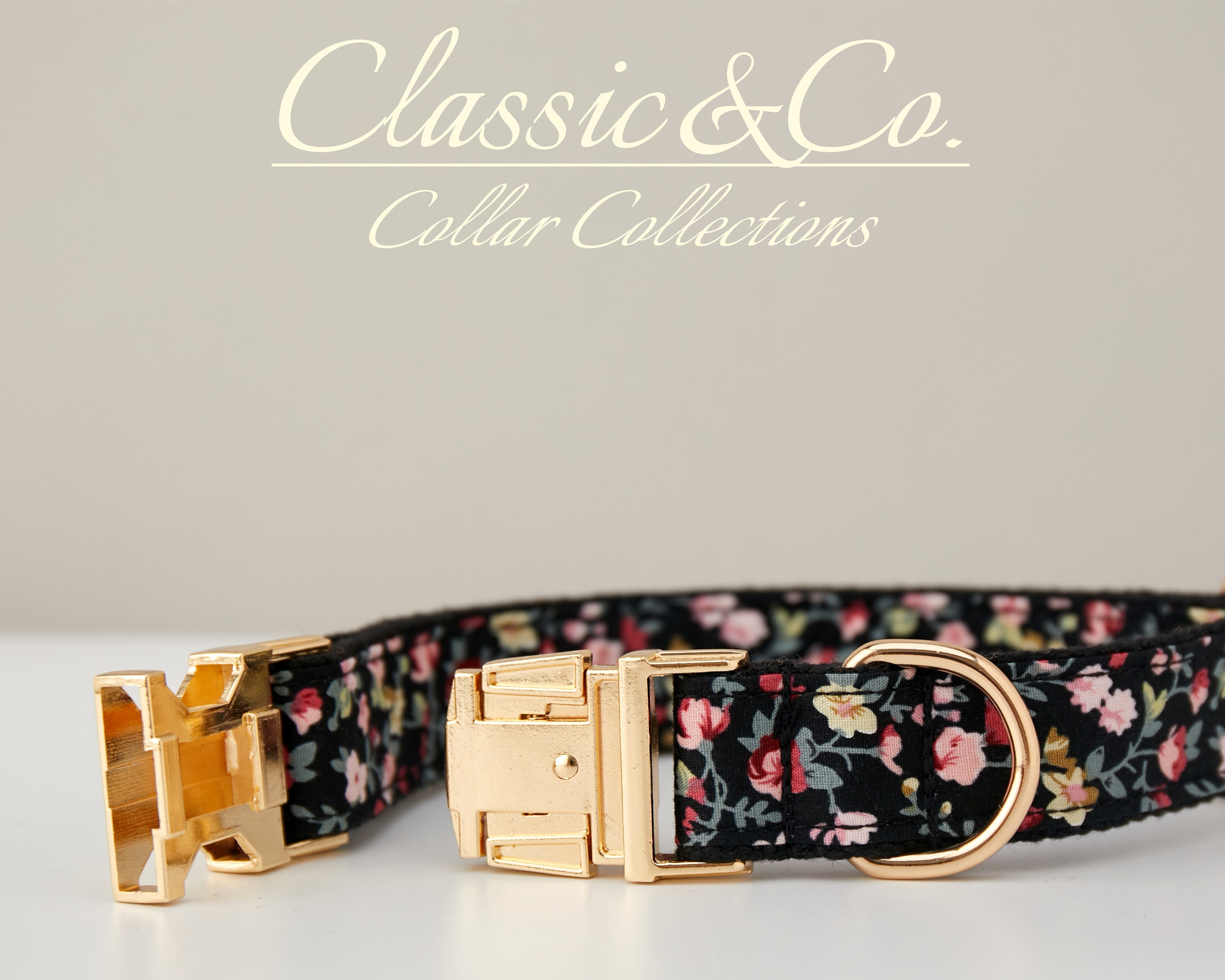 Personalisiertes Hundehalsband Mit Leine, Verstellbar